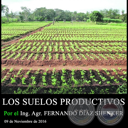  LOS SUELOS PRODUCTIVOS - Ing. Agr. FERNANDO DÍAZ SHENKER - 09 de Noviembre de 2016